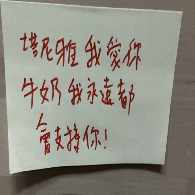 Image /memo/YSIR